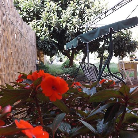 Il Noce Alghero Santa Maria la Palma Habitación foto