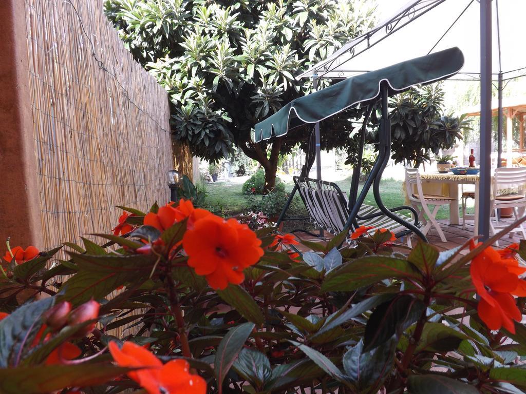 Il Noce Alghero Santa Maria la Palma Habitación foto